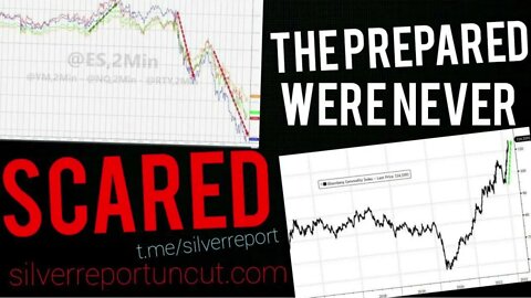 Stocks Crushed In Downward Spiral, S&P 500 Enters Correction, Gold & Commodities Take Over