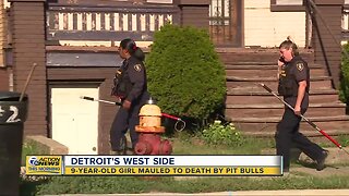 9-year-old girl mauled to death by pit bulls in Detroit
