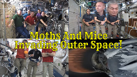 Moths And Mice Invading Outer Space!