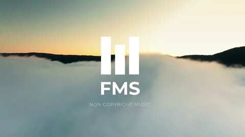 FMS - Free Non Copyright Slowed & Reverb Music #028
