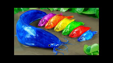 stop motion ASMR - colourful koi fish hunting cat fish - cooking satisfaction