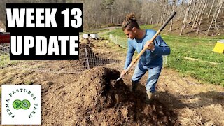 What To Do When Your Compost Goes Cold: Week 13 Update