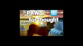 PAWs ⏯...4 Thought #7 .