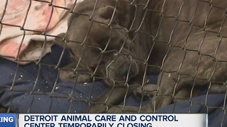 Detroit Animal Care and Control shut down