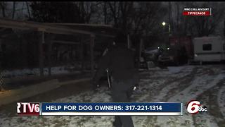 IACS overwhelmed by calls from people reporting pets left in the cold