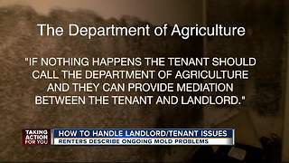 How to handle landlord-tenant issues