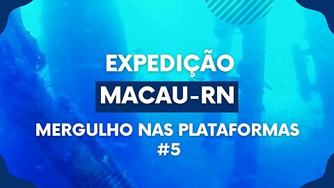 🎣 Expedição Macau-RN | Mergulho nas Plataformas 5 🌊🐟 #spearfishing #pescasub #pesca