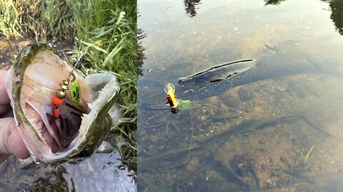 Fishing A New River & Matching The Hatch For Success / Mixed Bag River Fishing In Michigan