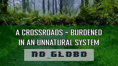 A Crossroads - Burdened by an Unnatural System