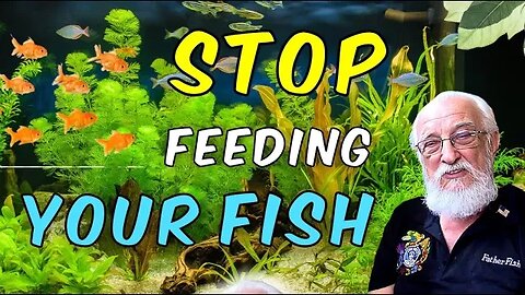 You Won't Believe This Fish Food Secret | Feeding Every Hungry Mouth