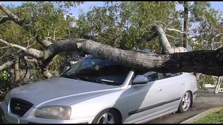 Cleaning up storm damages in Palm Beach County