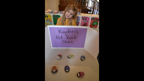 How to Make a Pet Rock