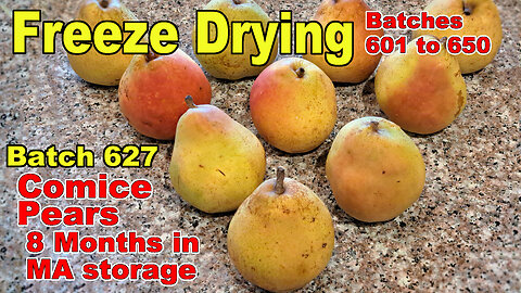 Batch 627 - Freeze Drying Pears picked 8 months ago! Cold Storage & Modified Atmosphere Storage