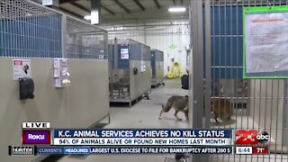 Kern County Animal Services reaches no-kill status