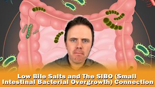 Low Bile Salts and The SIBO (Small Intestinal Bacterial Overgrowth) Connection