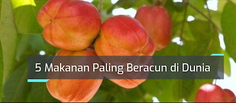 5 Makanan Paling Beracun di Dunia