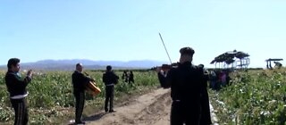 Mariachi band serenades farmworkers