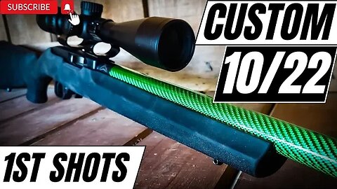 Custom 10/22 - 1st Shots and Sighting In