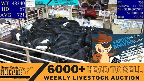 1/10/2023 - Beaver County Stockyards Livestock Auction