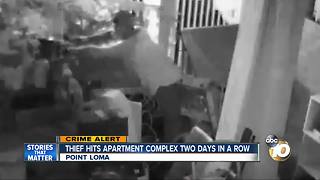 Thief hits apartment complex two days in a row