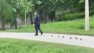 Houston cop leads chicks on mission to find their mother