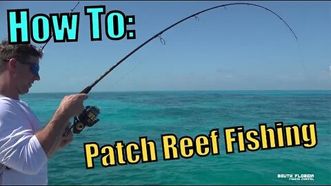 How to Catch FISH on the Key Largo PATCH REEFS | Catch N Cook