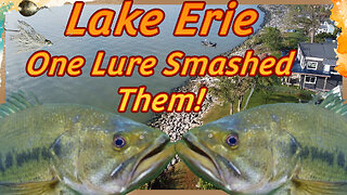 Largemouth Bass Fishing Lake Erie (One Lure They Were Chomping!)