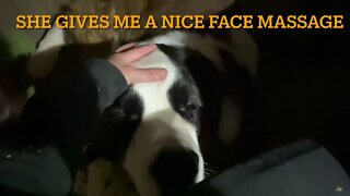 Face massage - Saint Bernard loves it.