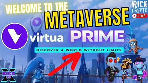 Virtua Metaverse Intro Plus Monster Zone Land Sale