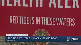 Red tide health warning in Bonita Springs