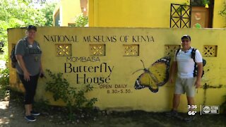 New butterfly conservatory spreading wings in South Tampa