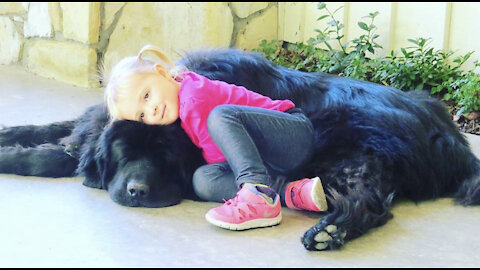 This little girl and her giant Newfoundland will make your day brighter