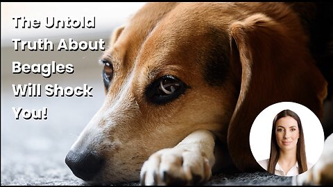 The Untold Truth About Beagles