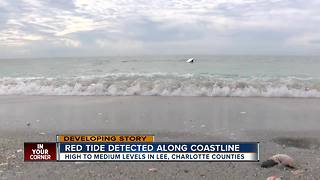 High to medium levels of red tide in Lee County