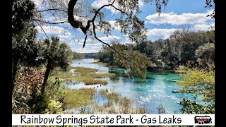 Gas Leaks - Rainbow Springs State Park, Paradise in Florida