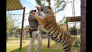 Joe Exotic has limousine waiting outside prison