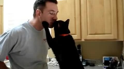 Bigfoot the cat gives kisses for treats
