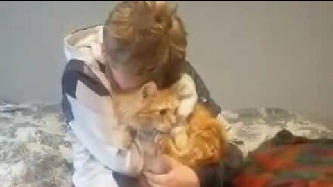 Boy reunited with his missing cat