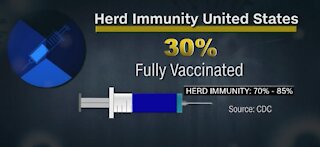 America on the way to herd immunity