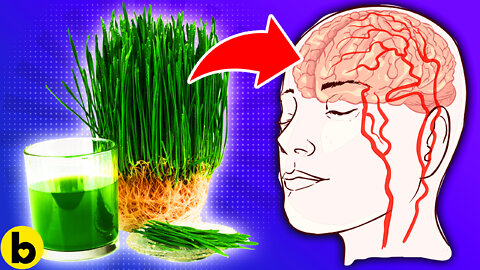 17 Wheatgrass Health Benefits That You SHOULDN'T IGNORE!