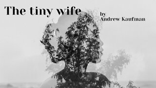 THE TINY WIFE by Andrew Kaufman