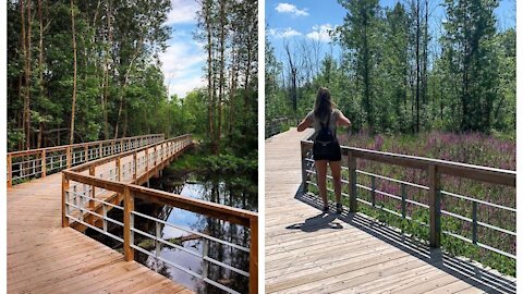 Tu peux te balader sur des passerelles en pleine nature sur la Rive-Sud de Montréal