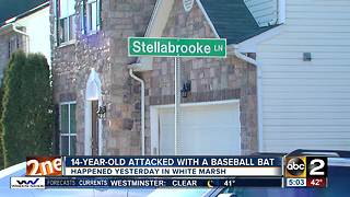 14-year-old attacked with baseball bat on the way home from school