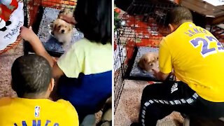 Siblings meet their surprise Christmas puppy