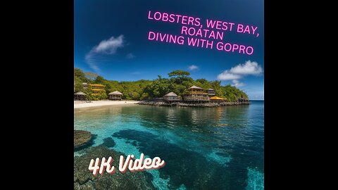 #gopro diving in West Bay, Roatan west end wall shot in 4K #lionfish