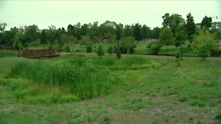 Buffalo Niagara Waterkeeper ramps up efforts to restore Scajaquada Creek