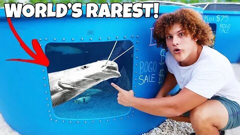 Buying World's RAREST Exotic AQUARIUM FISH!