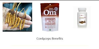 Cordyceps Mushroom Benefits