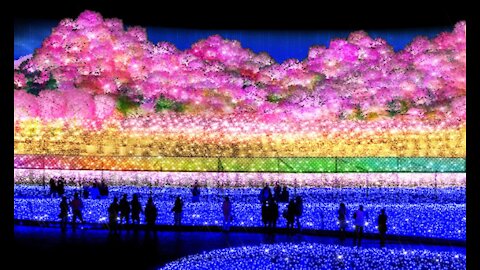 Spectacular Light Show and Flower park - Nabana no Sato in Japan