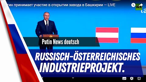 Putin und Kurz arbeiten zusammen.